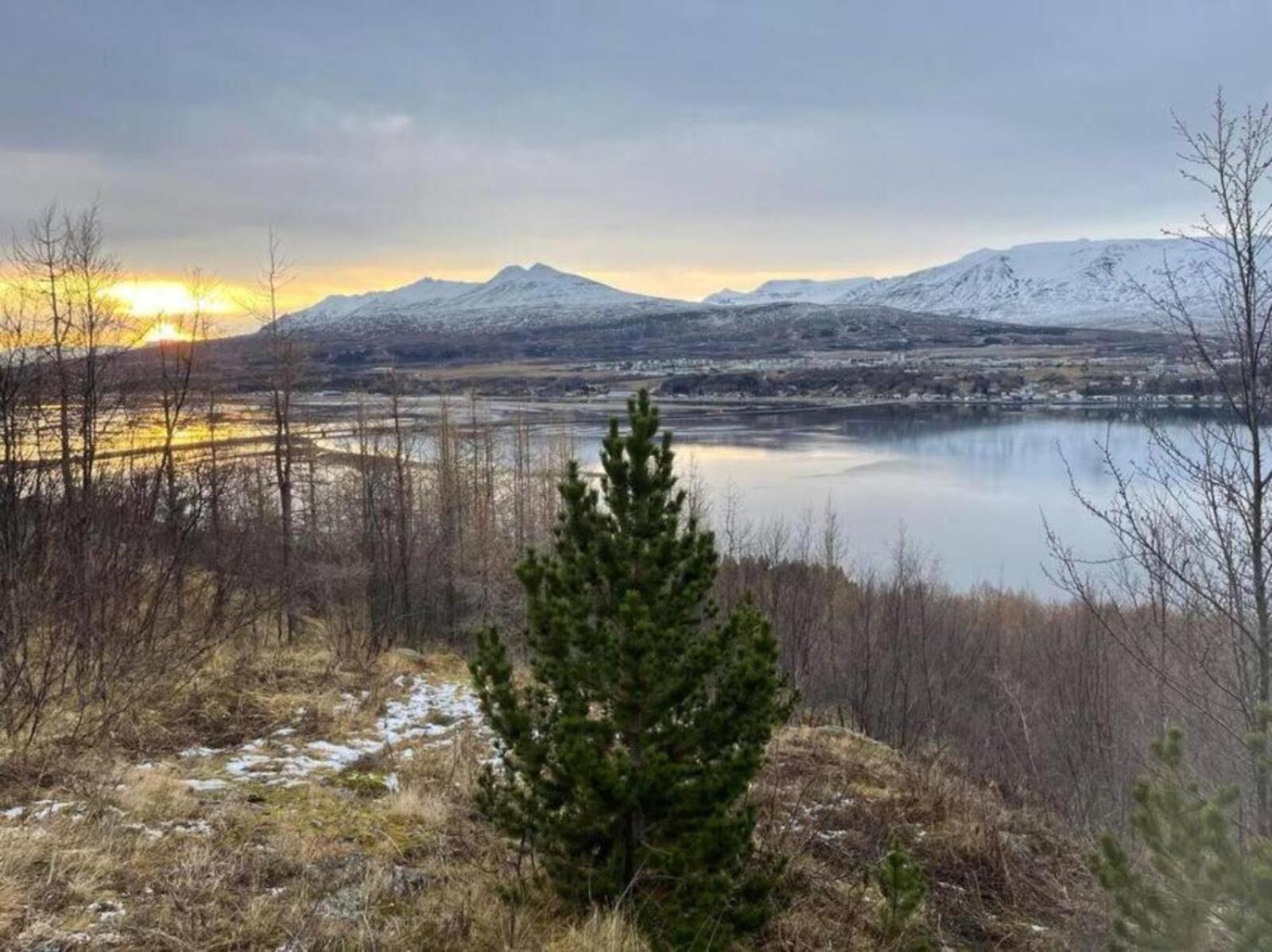 Cozy 2 Bedroom Cottage With Hot Tub Akureyri Buitenkant foto